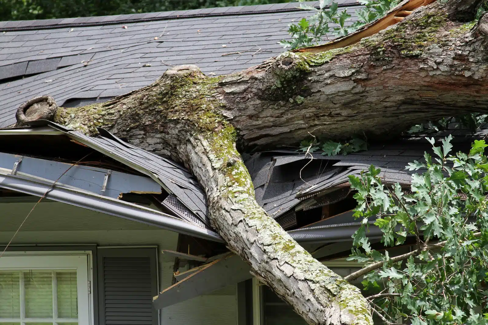 Roof image