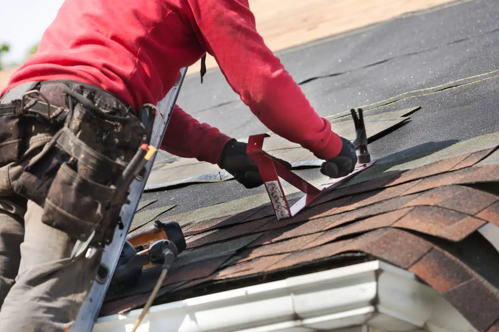 Roof image