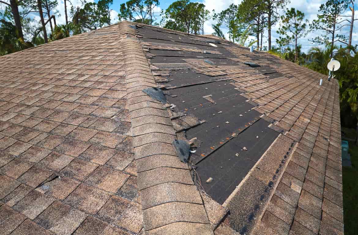 Roof image