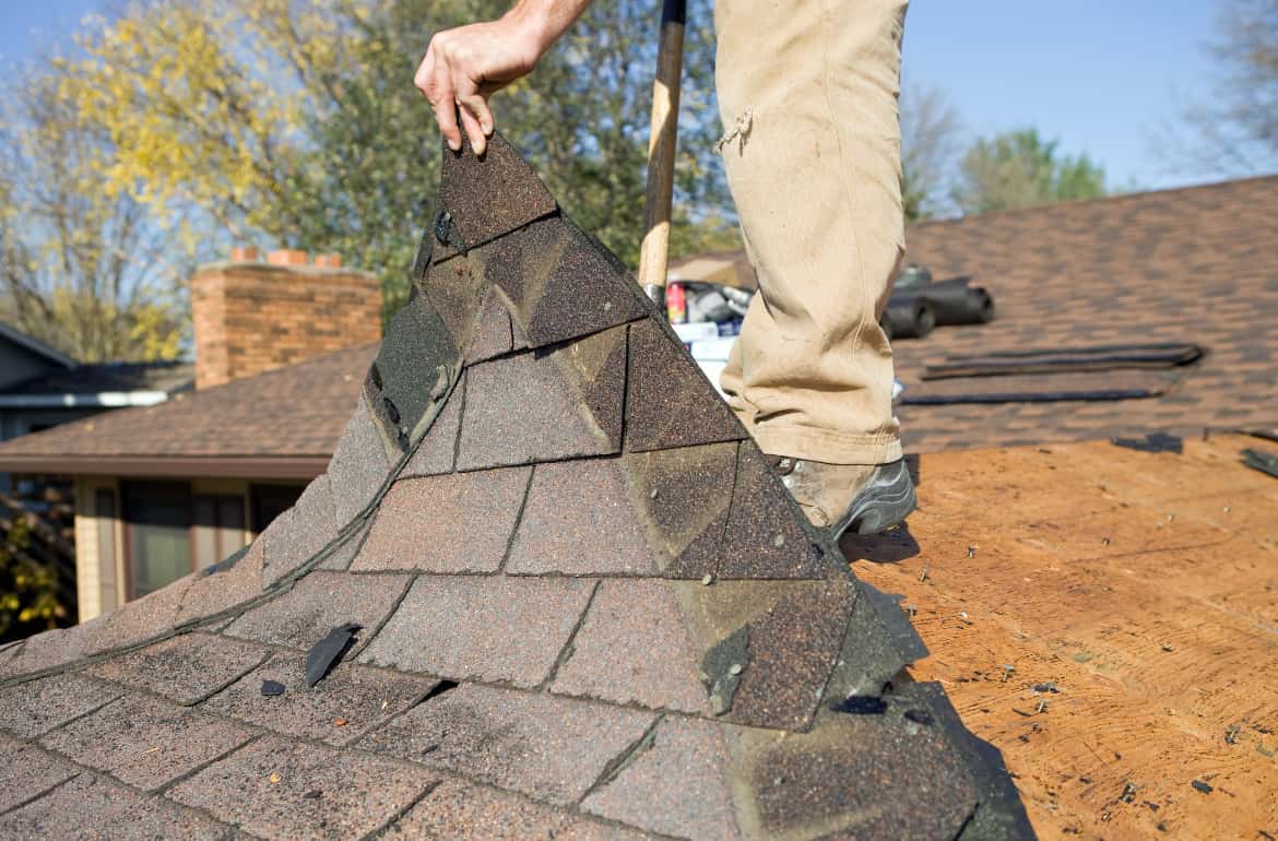 Roof image