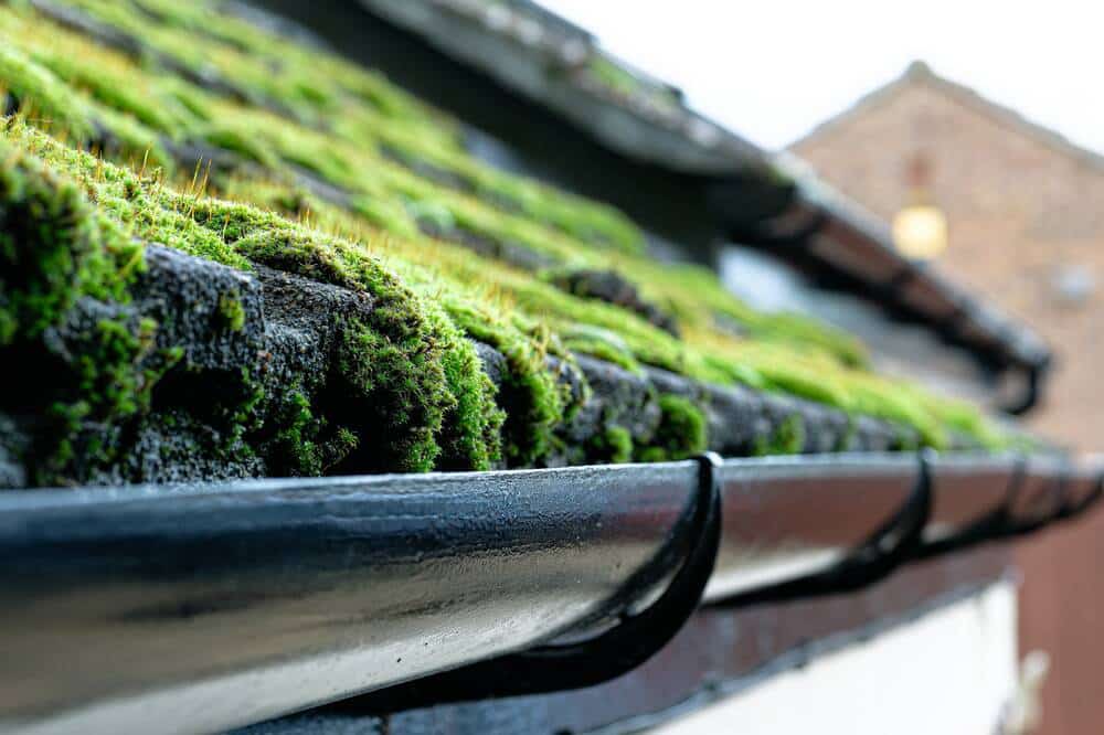 Roof image